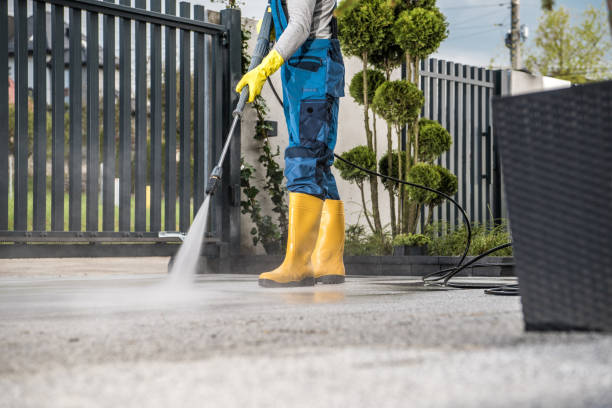 Best Restaurant Pressure Washing  in Luverne, AL